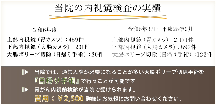 内視鏡検査実績